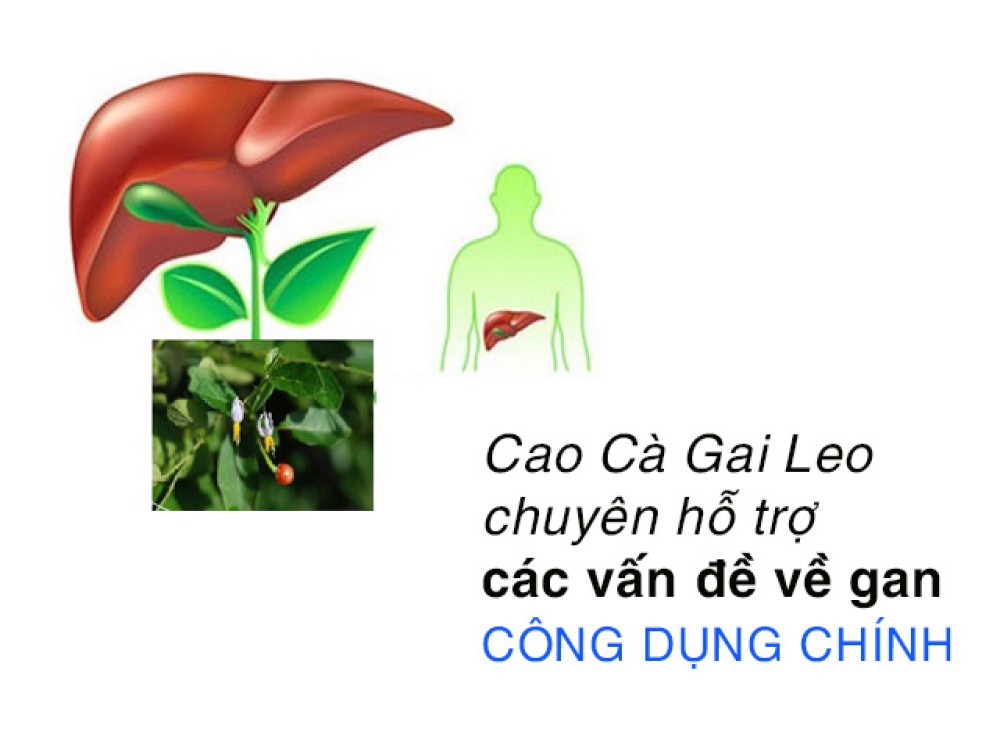 Thuốc Giải Độc Gan Được Tin Dùng Nhiều Hiện Nay.