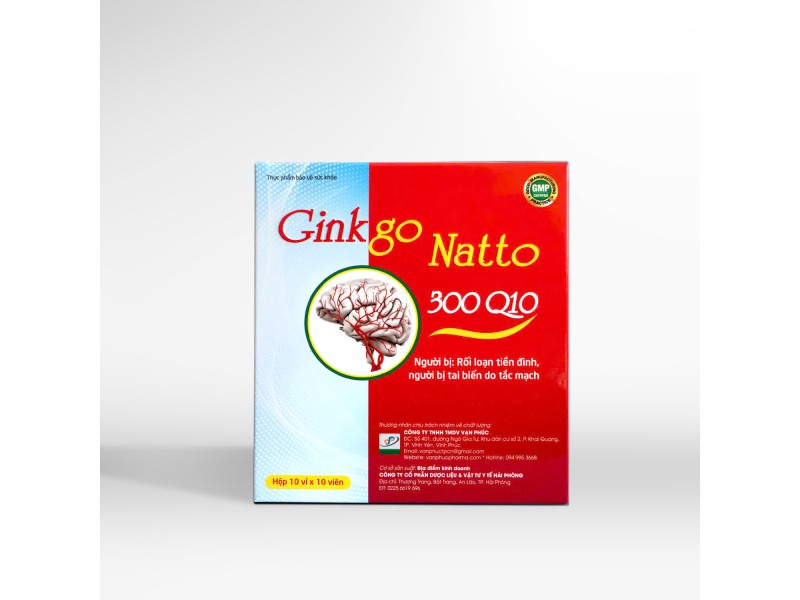 Hoạt huyết dưỡng não Ginkgo Natto 300 Q10  (Bao bì 2024)